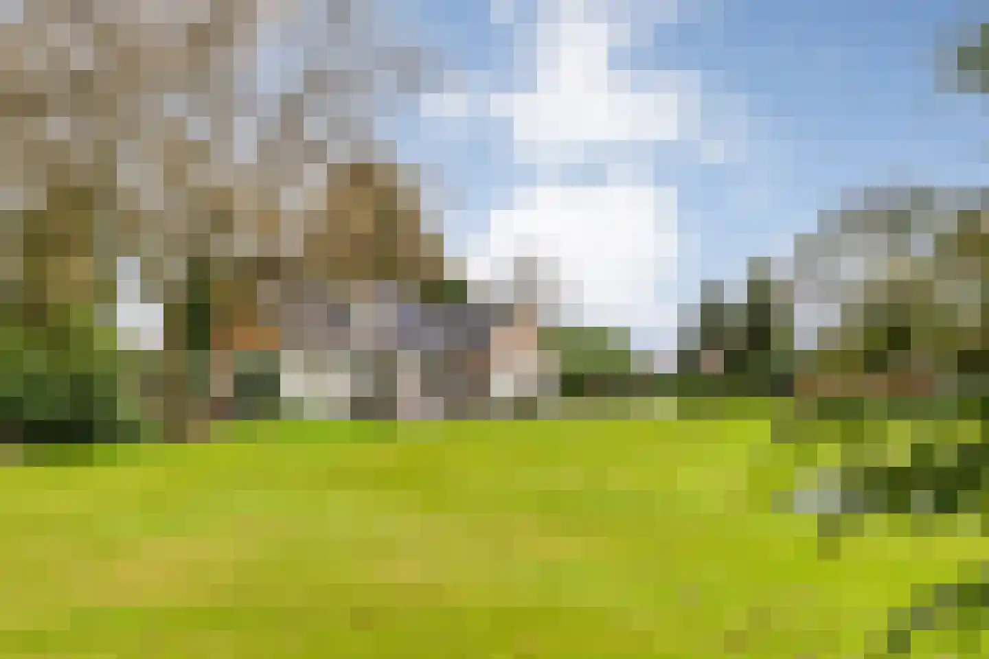 Spekopswijk 11 Dedemsvaart thumbnail 54