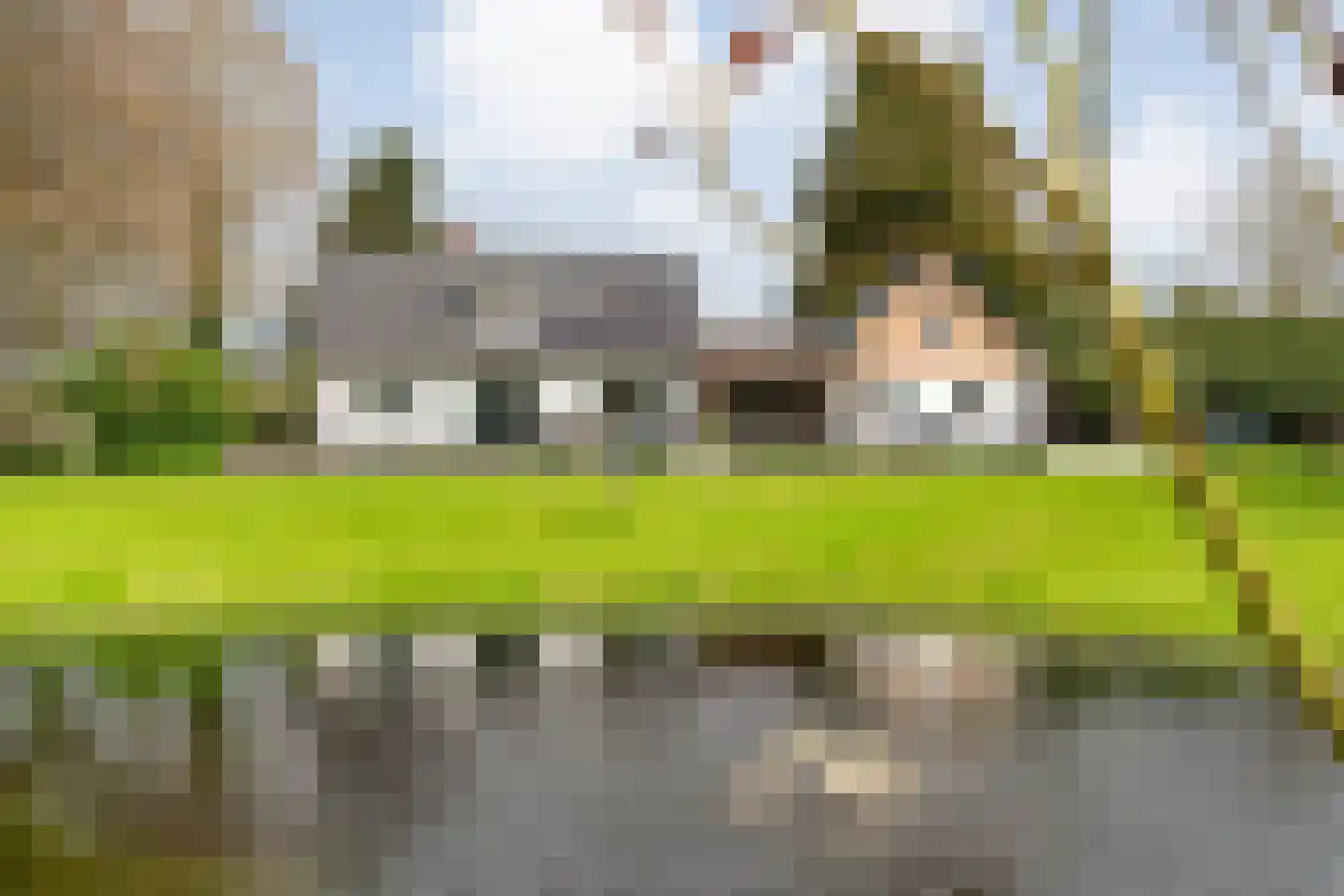 Spekopswijk 11 Dedemsvaart thumbnail 58