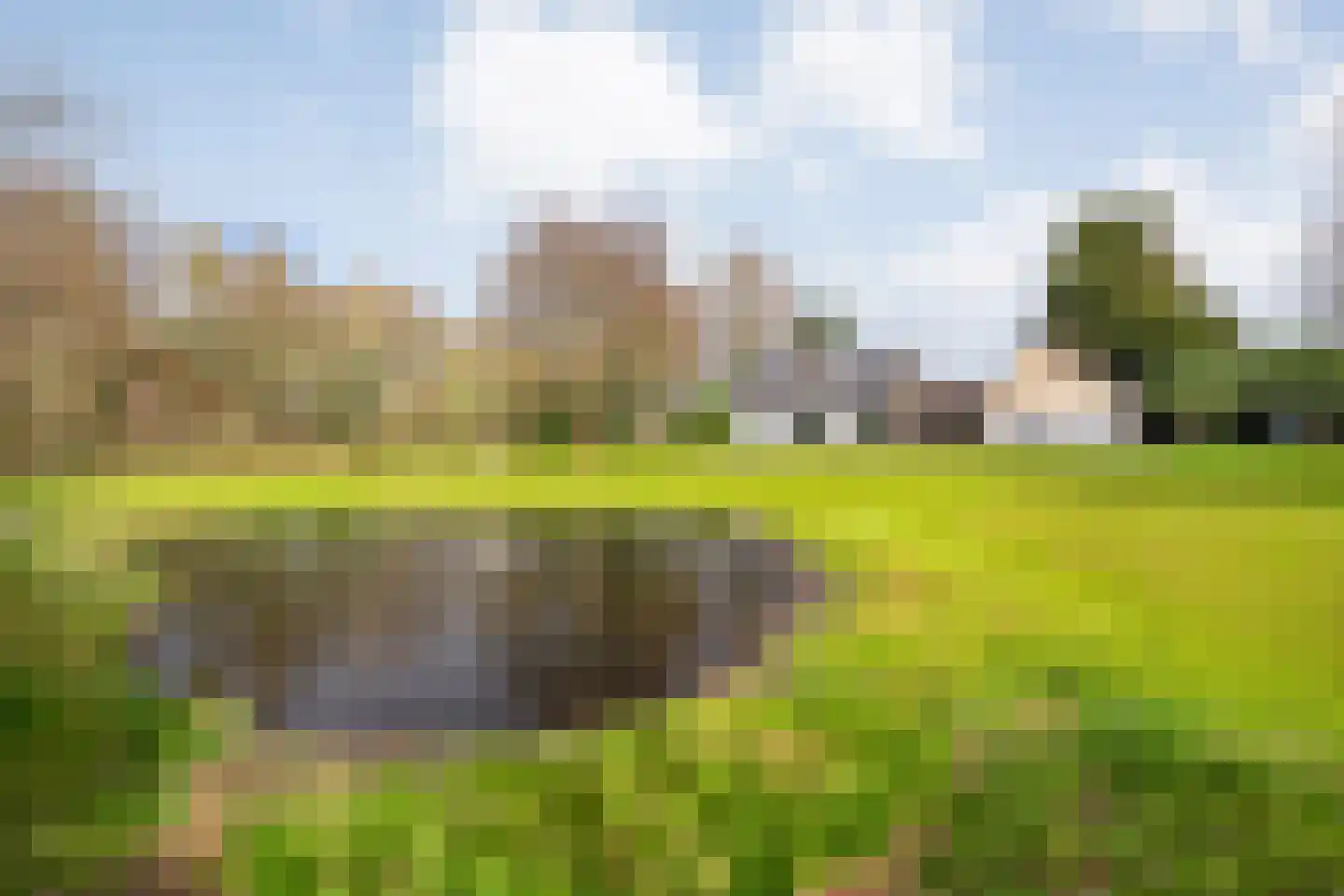 Spekopswijk 11 Dedemsvaart thumbnail 60
