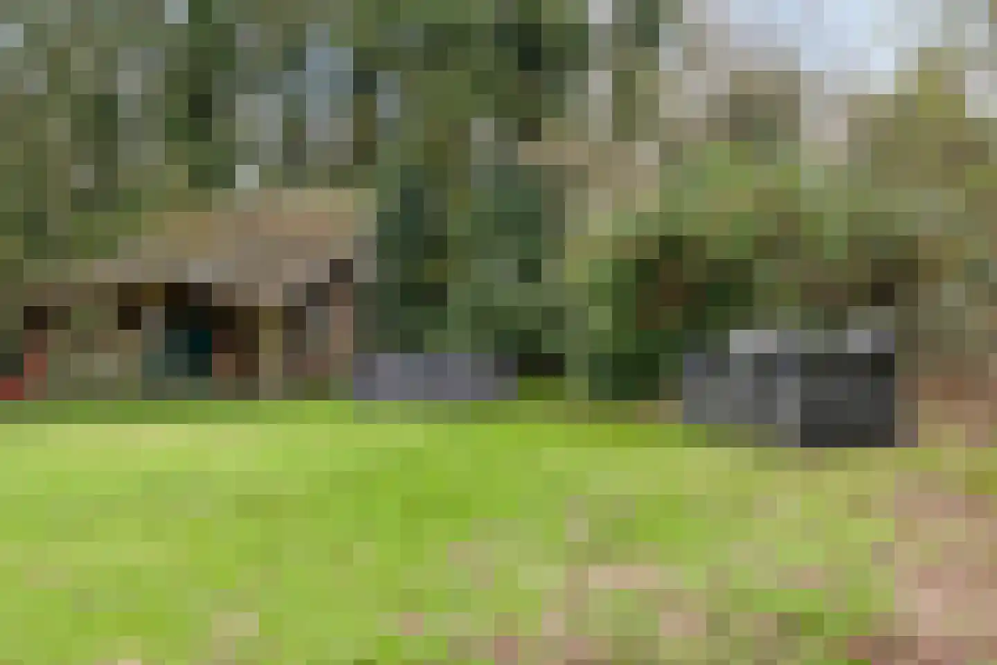 Spekopswijk 11 Dedemsvaart thumbnail 61