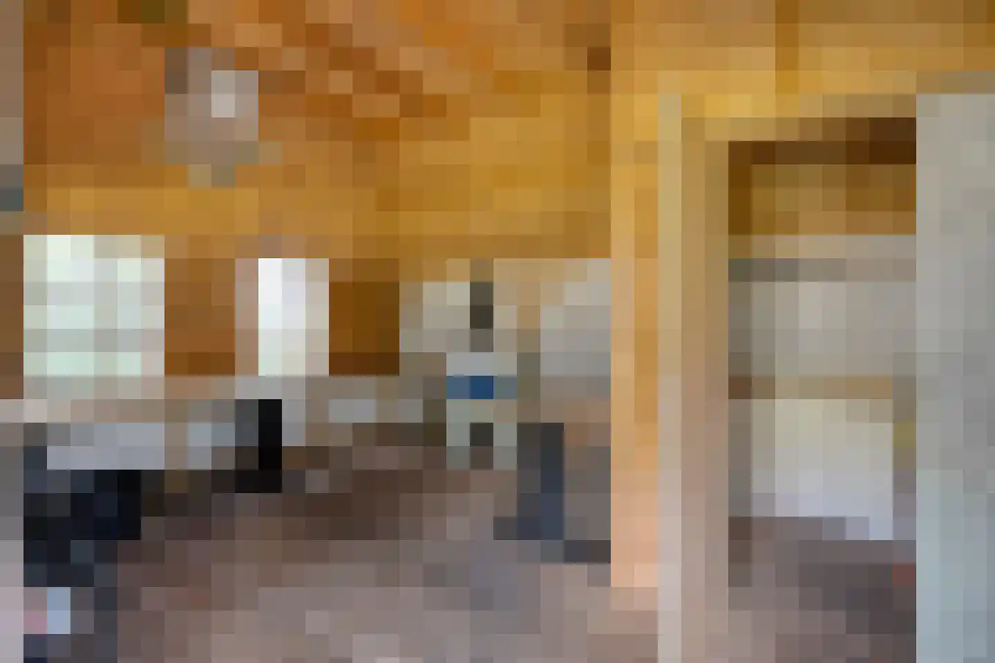 Spekopswijk 11 Dedemsvaart thumbnail 63