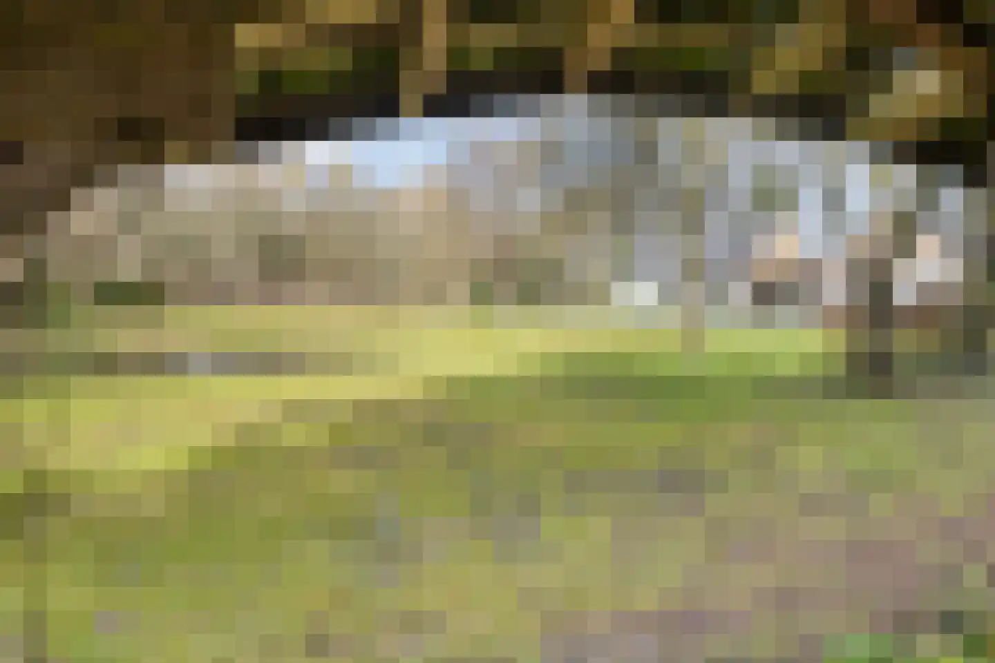 Spekopswijk 11 Dedemsvaart thumbnail 64