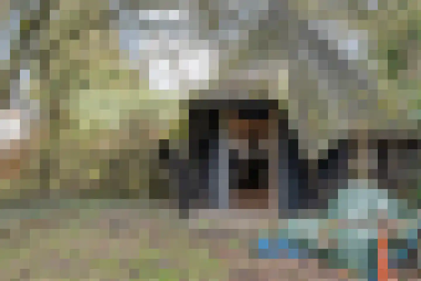 Spekopswijk 11 Dedemsvaart thumbnail 65