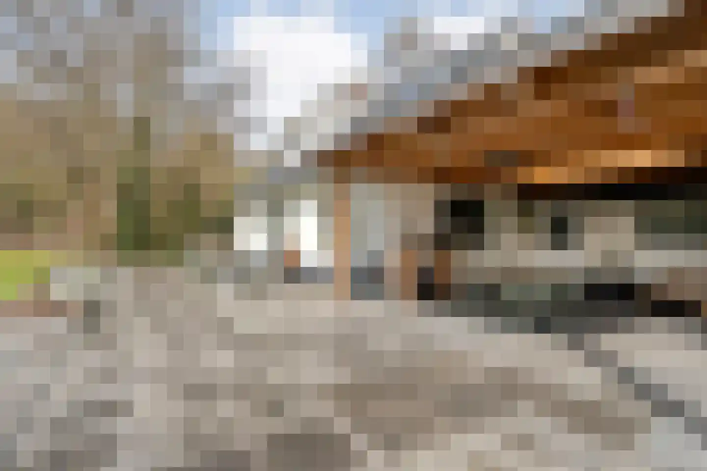 Spekopswijk 11 Dedemsvaart thumbnail 67