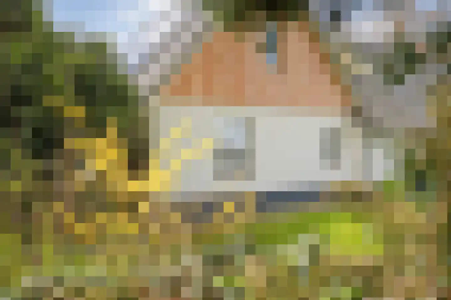 Spekopswijk 11 Dedemsvaart thumbnail 76