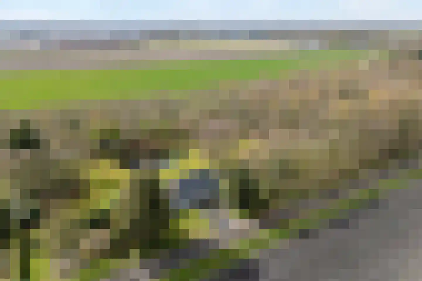 Spekopswijk 11 Dedemsvaart thumbnail 77