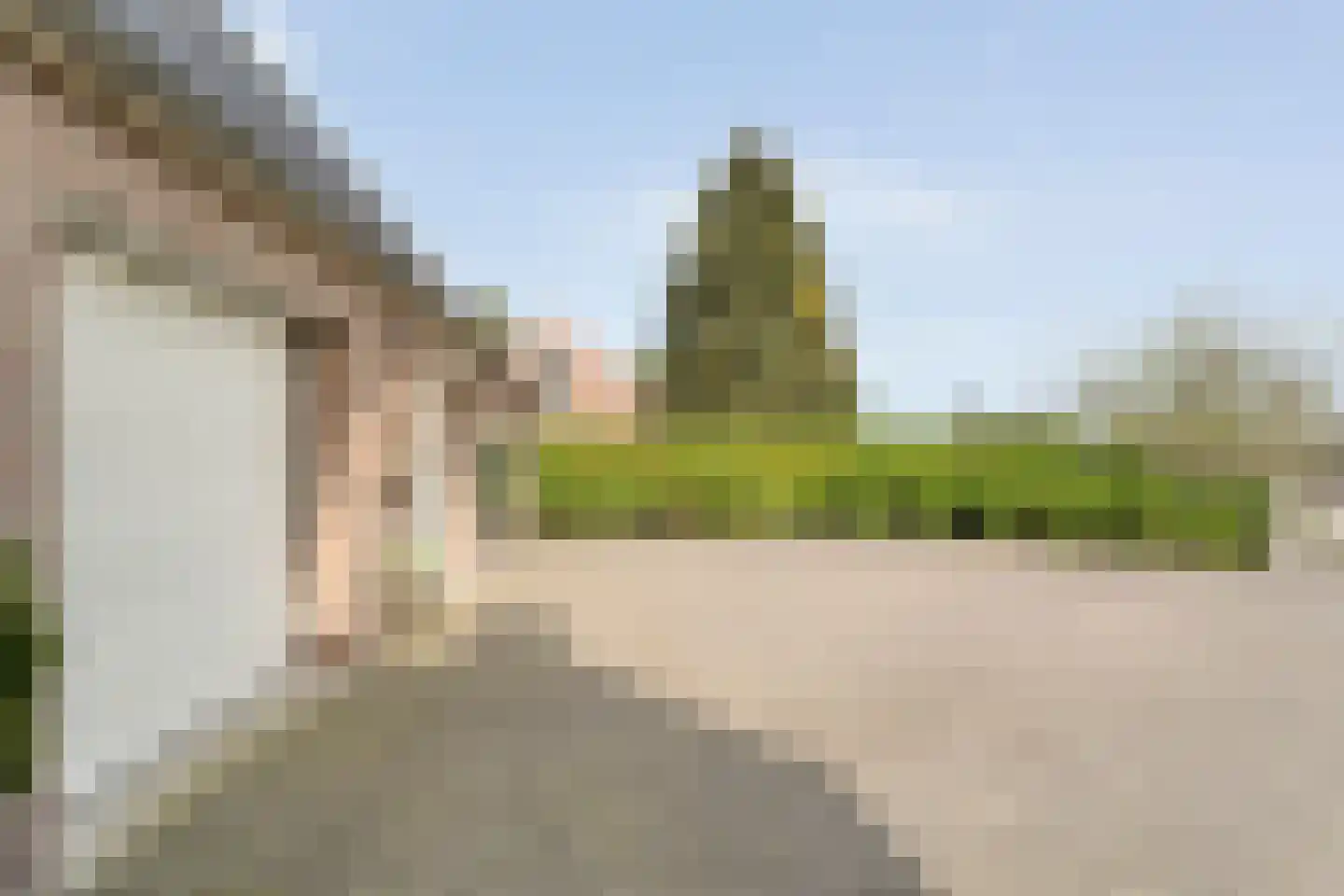 Spekopswijk 15 Dedemsvaart thumbnail 11