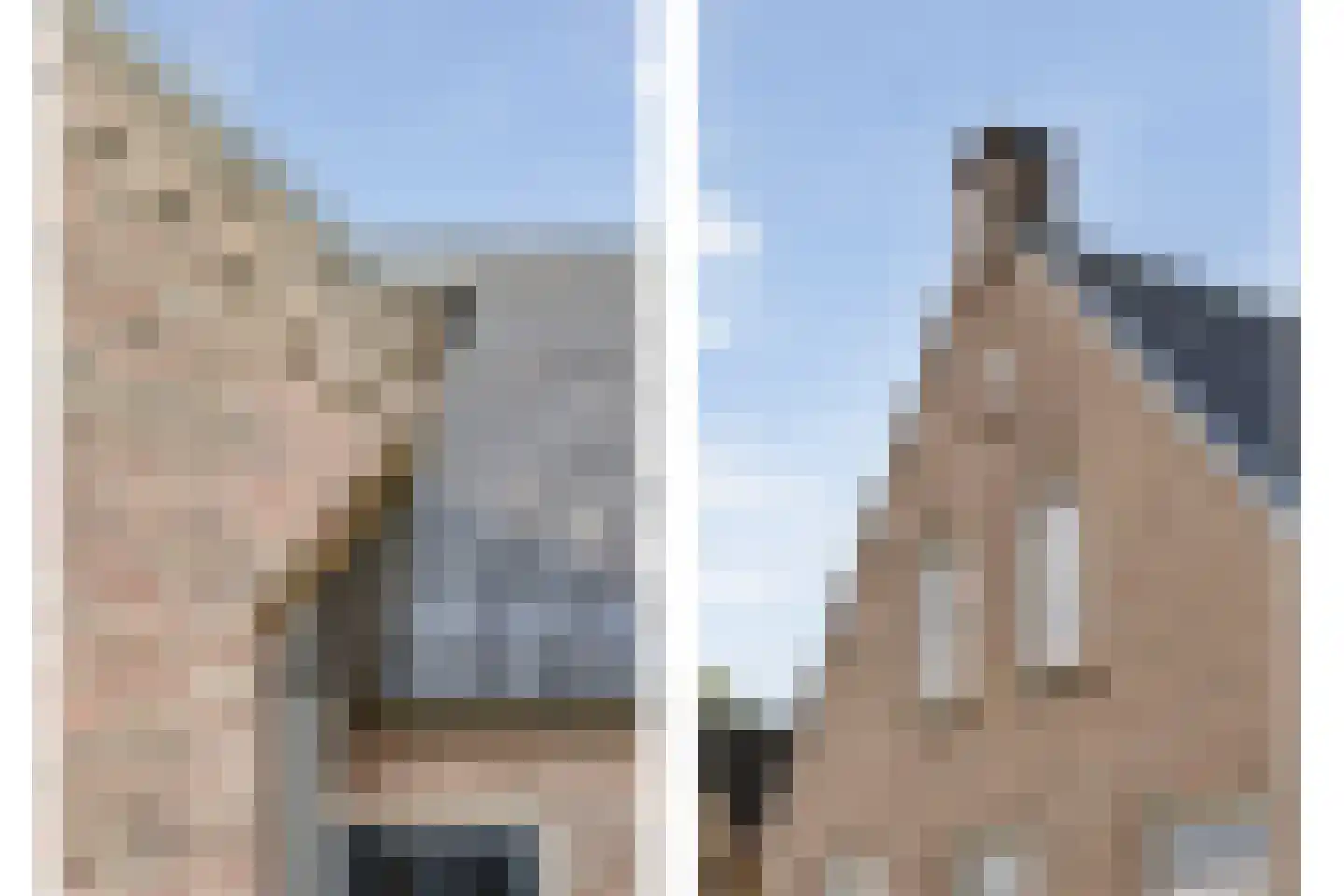 Spekopswijk 15 Dedemsvaart thumbnail 15