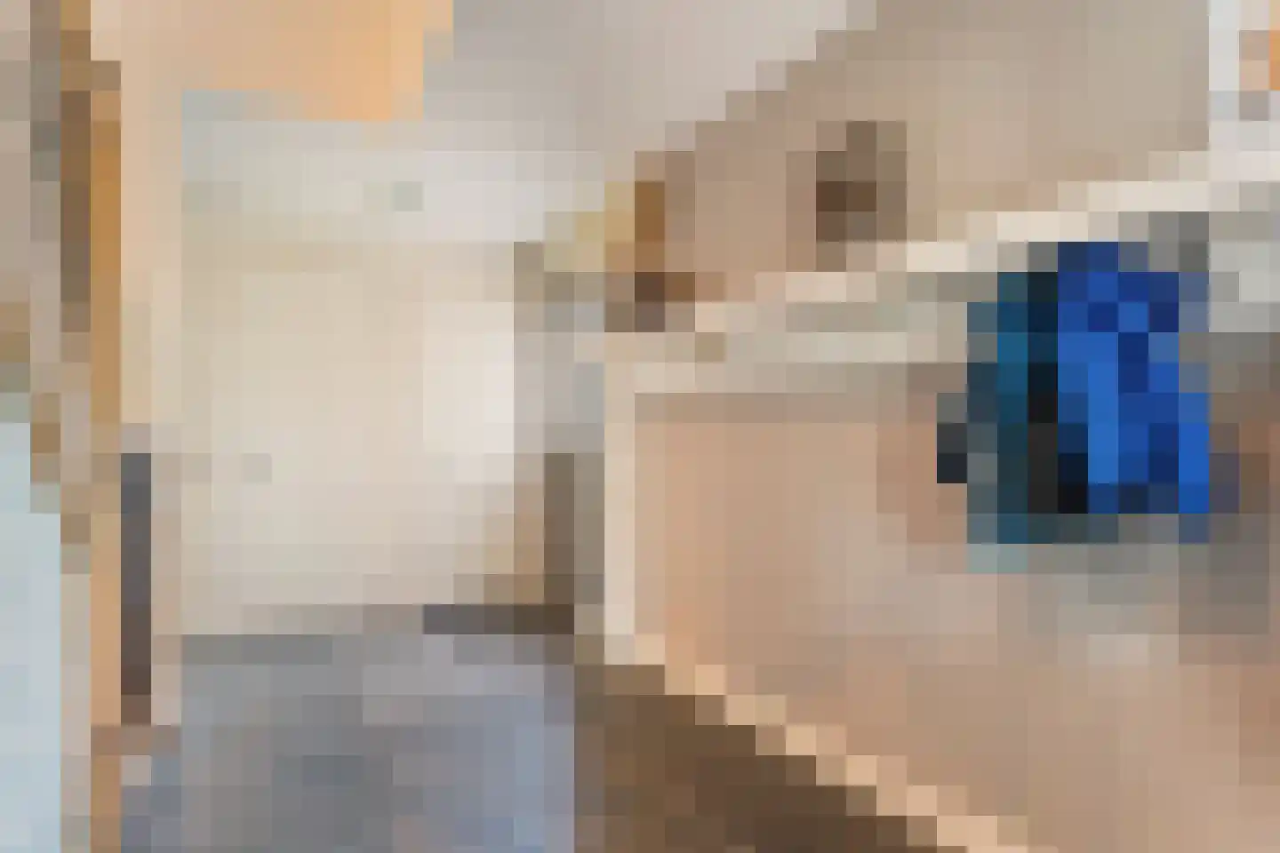 Spekopswijk 15 Dedemsvaart thumbnail 17