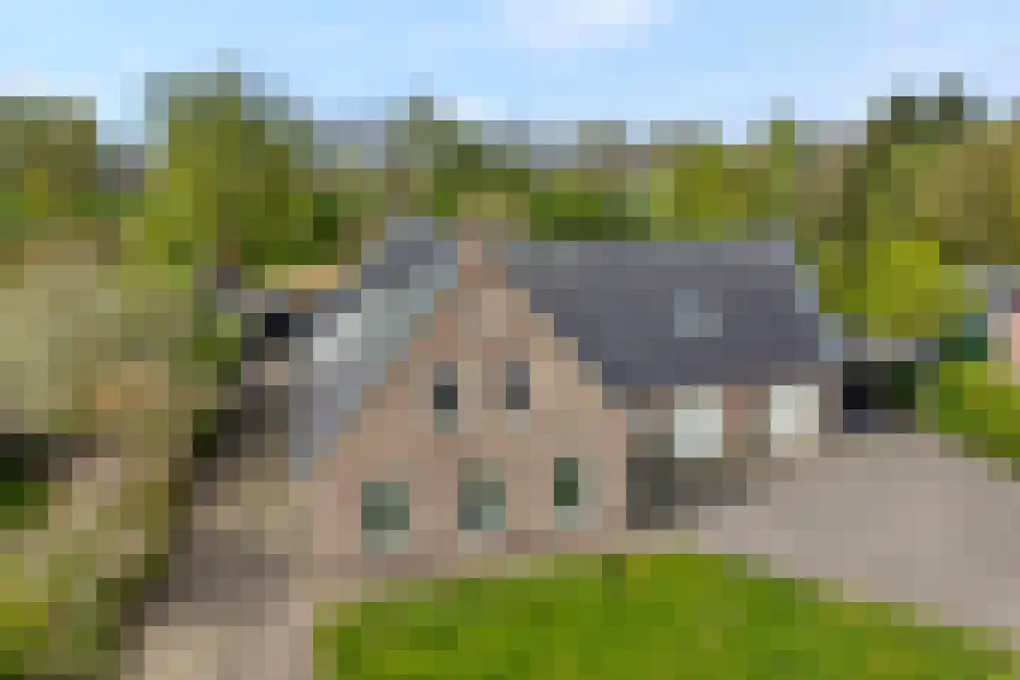 Spekopswijk 15 Dedemsvaart foto 2