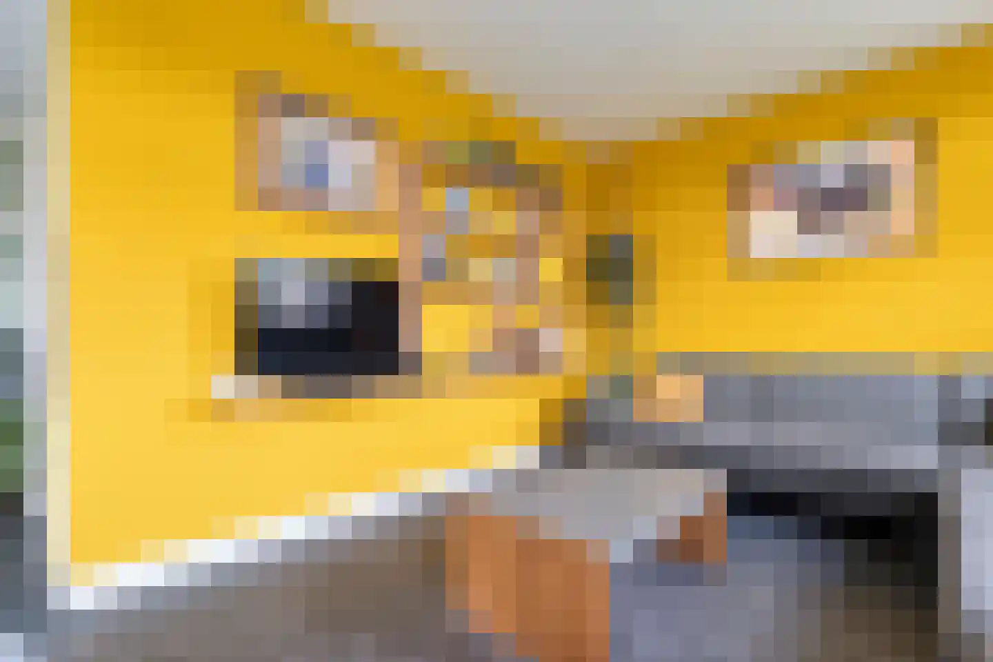 Spekopswijk 15 Dedemsvaart thumbnail 22