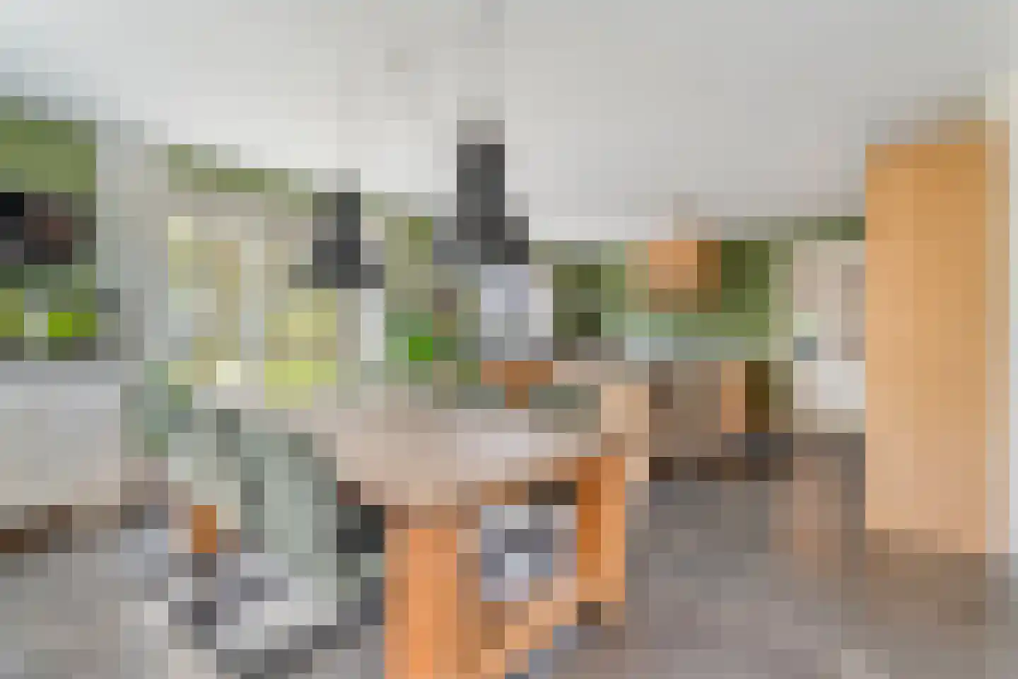 Spekopswijk 15 Dedemsvaart thumbnail 28