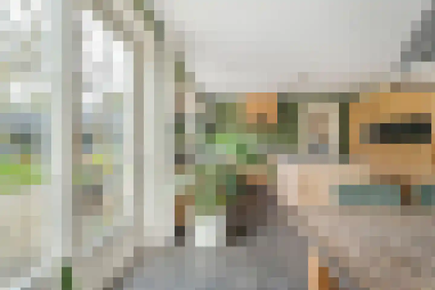 Spekopswijk 15 Dedemsvaart thumbnail 30
