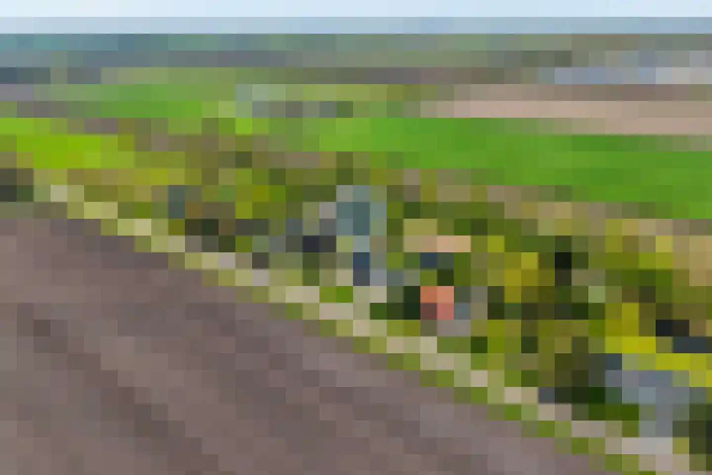 Spekopswijk 15 Dedemsvaart thumbnail 5