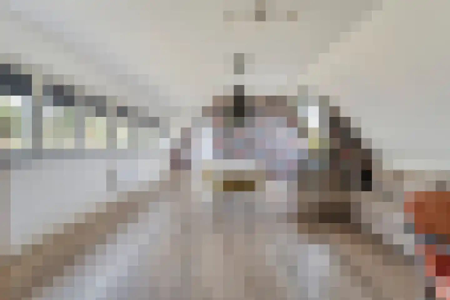 Spekopswijk 15 Dedemsvaart thumbnail 54