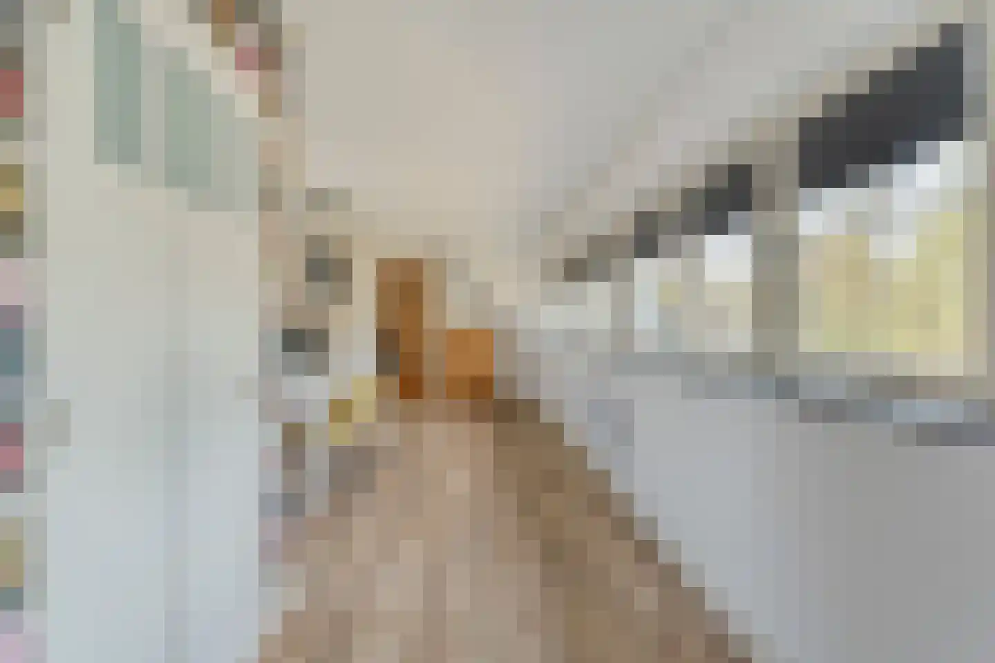 Spekopswijk 15 Dedemsvaart thumbnail 57