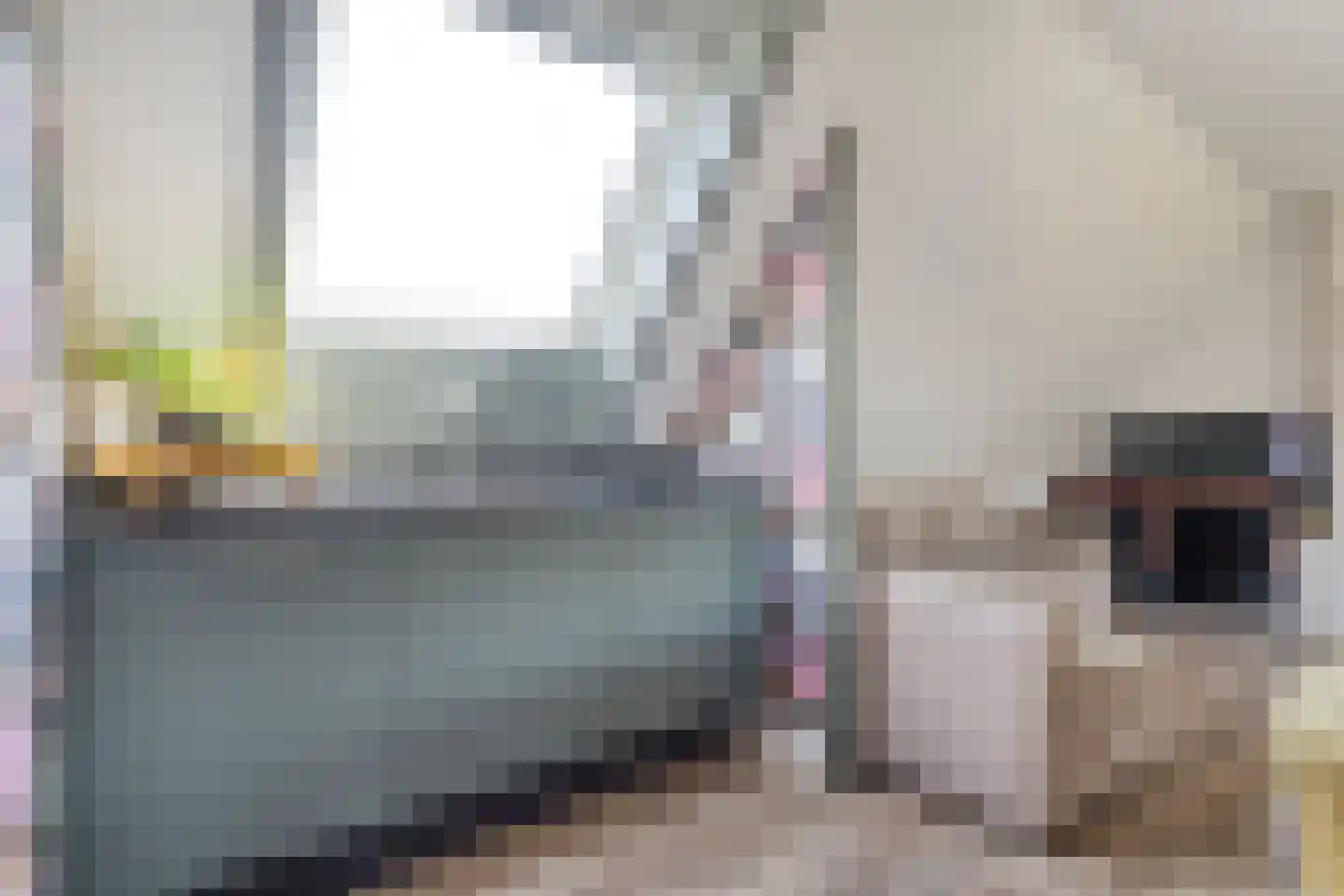 Spekopswijk 15 Dedemsvaart thumbnail 58