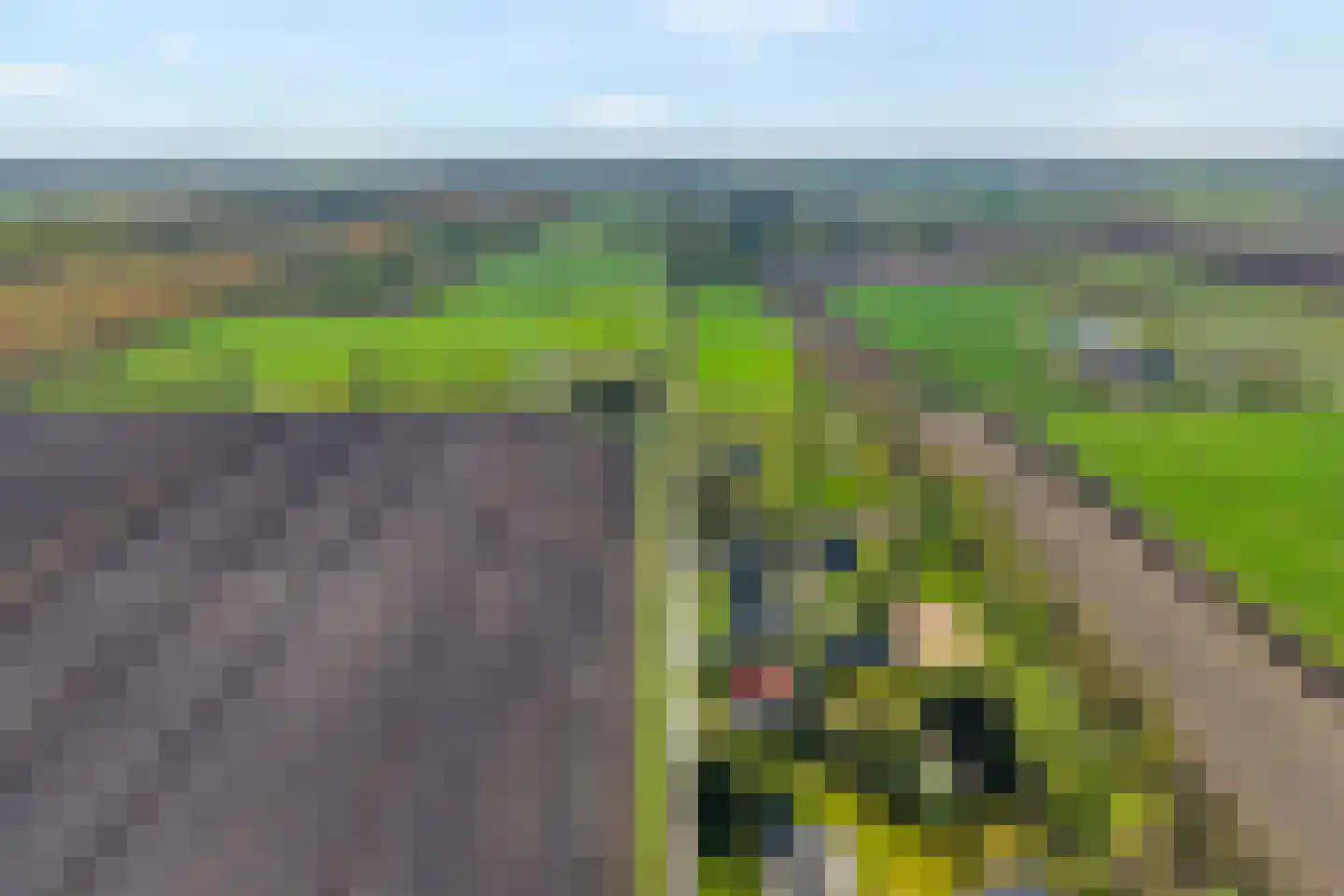 Spekopswijk 15 Dedemsvaart thumbnail 6