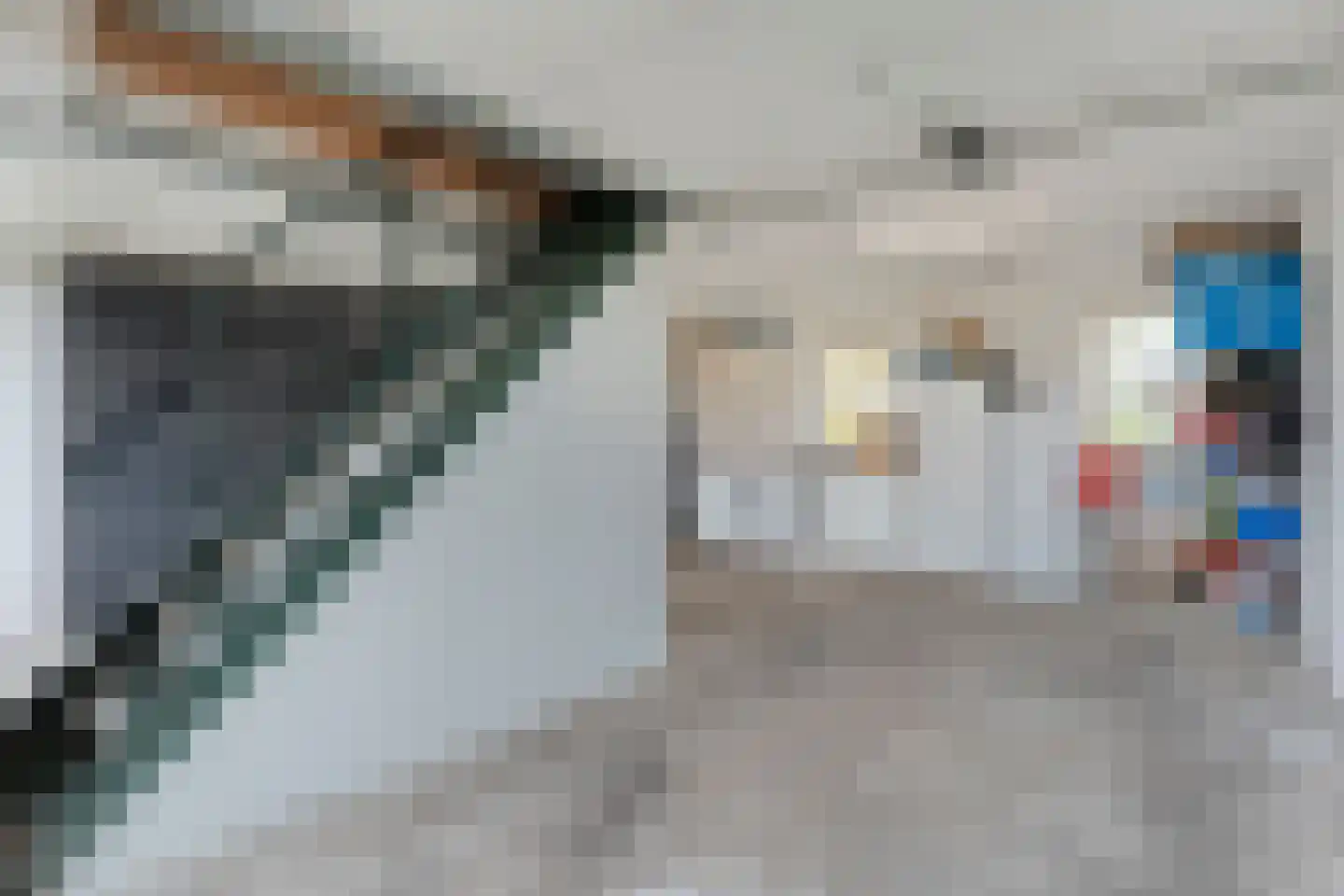Spekopswijk 15 Dedemsvaart thumbnail 64
