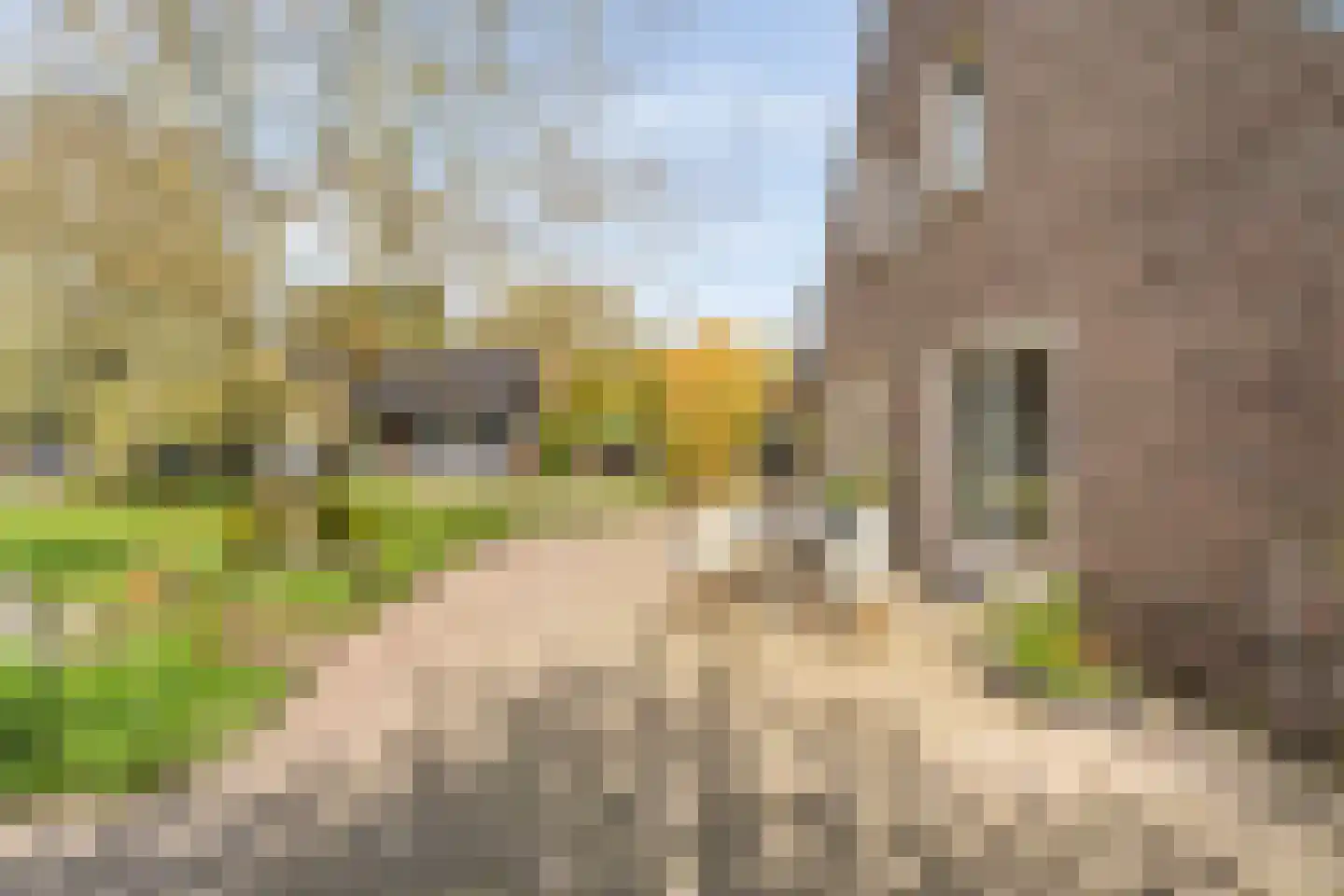 Spekopswijk 15 Dedemsvaart thumbnail 66