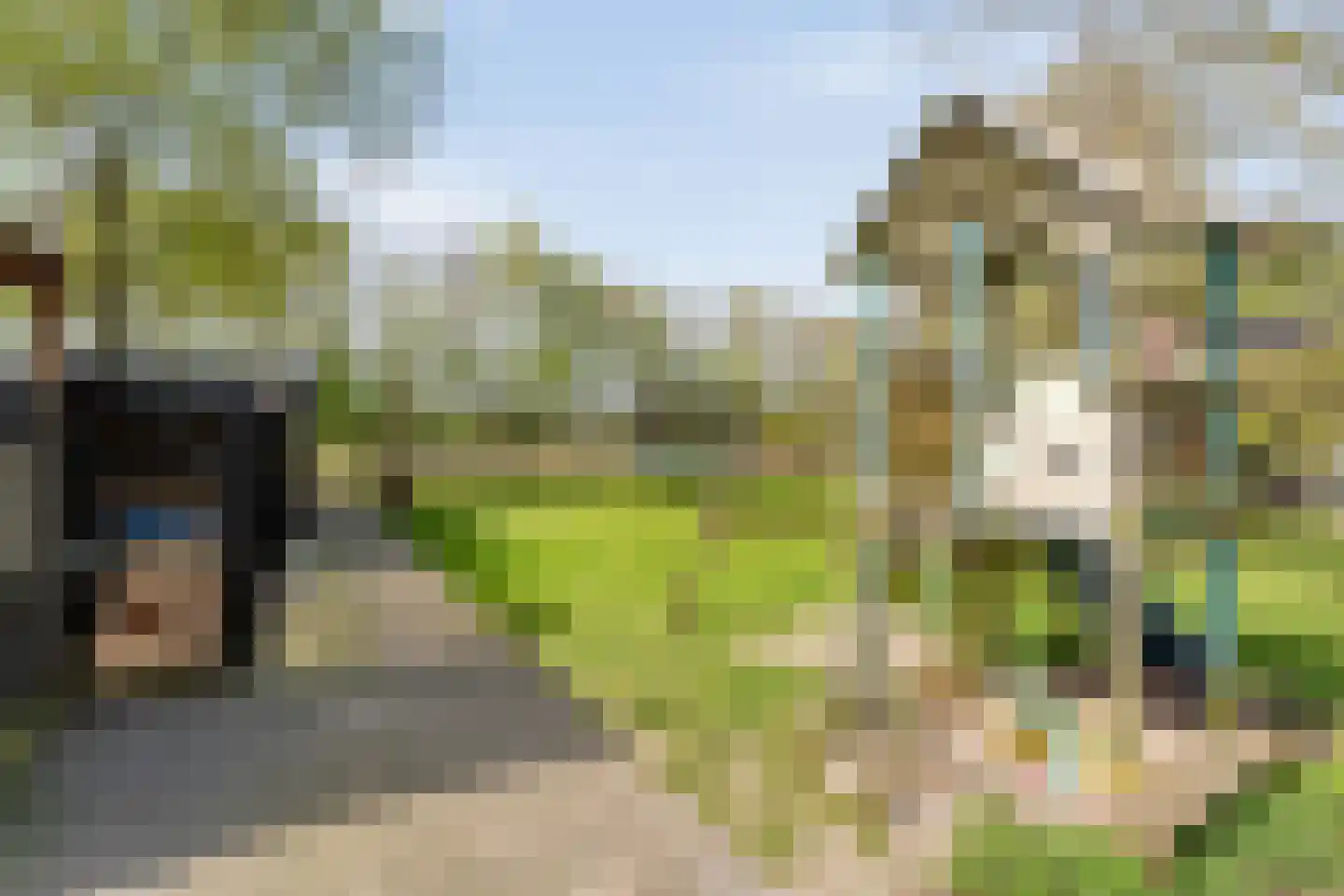 Spekopswijk 15 Dedemsvaart thumbnail 73