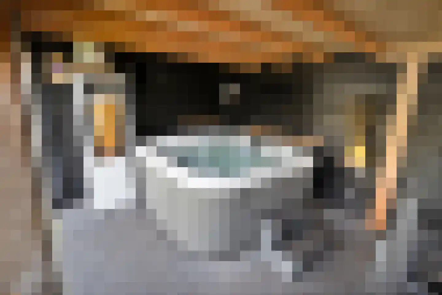 Spekopswijk 15 Dedemsvaart thumbnail 75