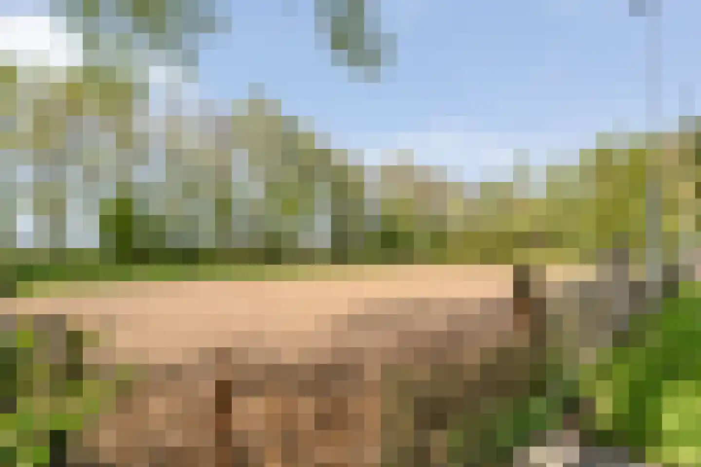 Spekopswijk 15 Dedemsvaart thumbnail 77
