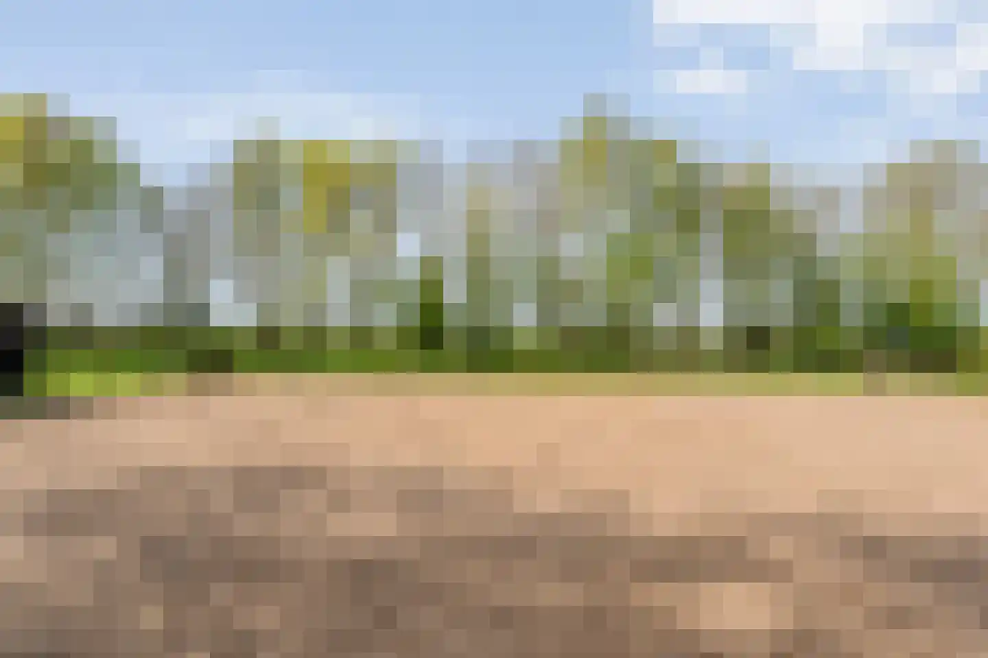 Spekopswijk 15 Dedemsvaart thumbnail 78