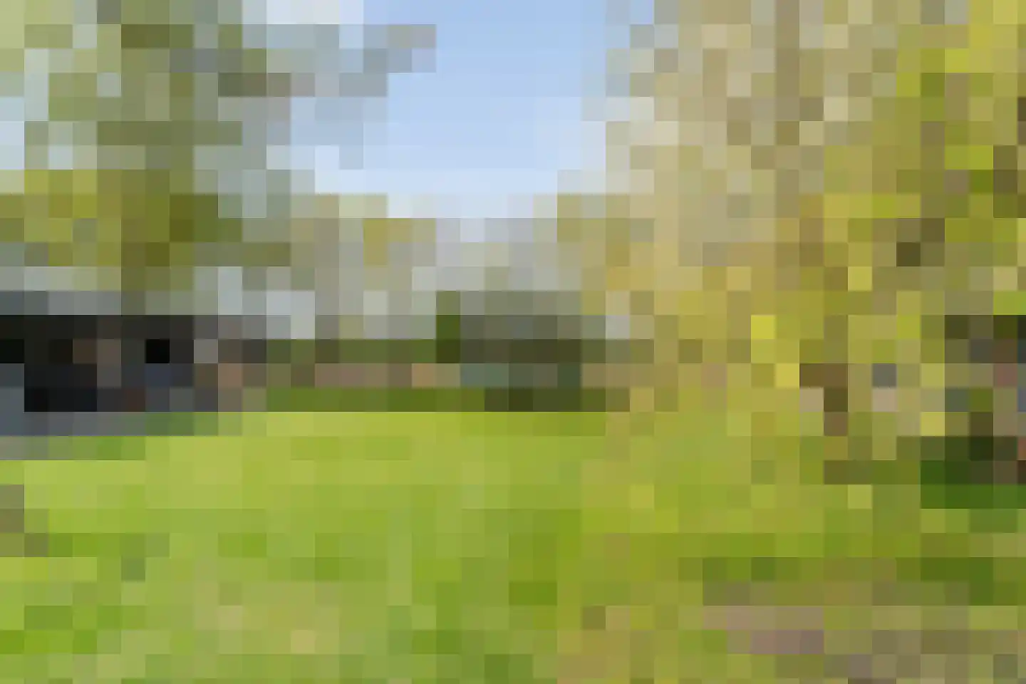 Spekopswijk 15 Dedemsvaart thumbnail 86