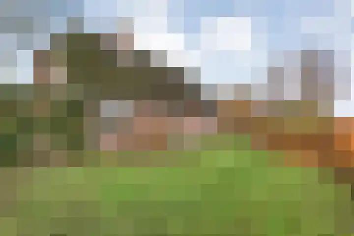 Spekopswijk 19 Dedemsvaart