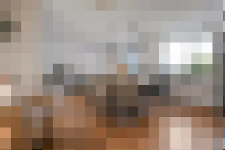 Spekopswijk 19 Dedemsvaart thumbnail 11