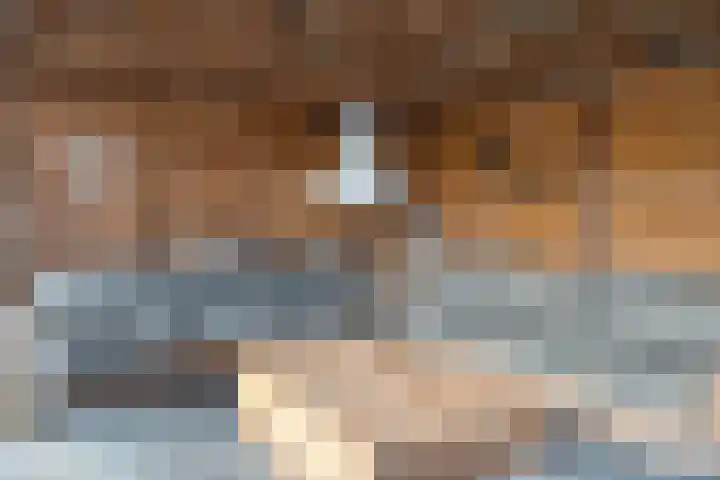 Spekopswijk 19 Dedemsvaart thumbnail 37