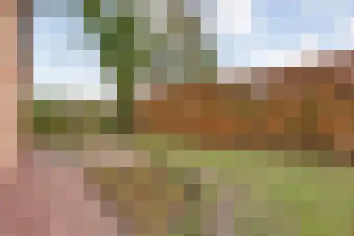 Spekopswijk 19 Dedemsvaart thumbnail 38