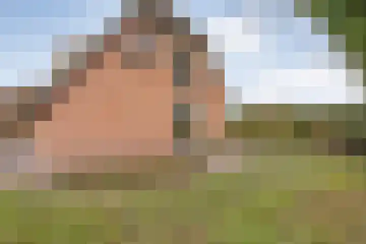 Spekopswijk 19 Dedemsvaart thumbnail 39