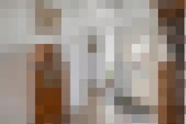 Spekopswijk 19 Dedemsvaart thumbnail 4