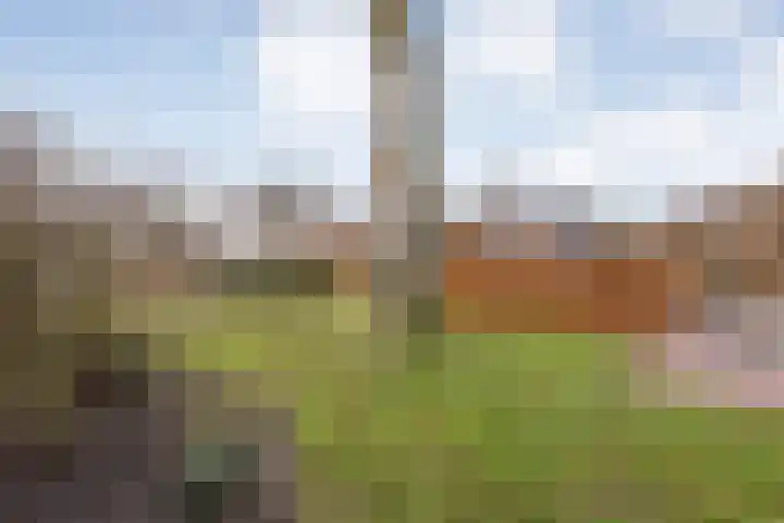 Spekopswijk 19 Dedemsvaart thumbnail 40
