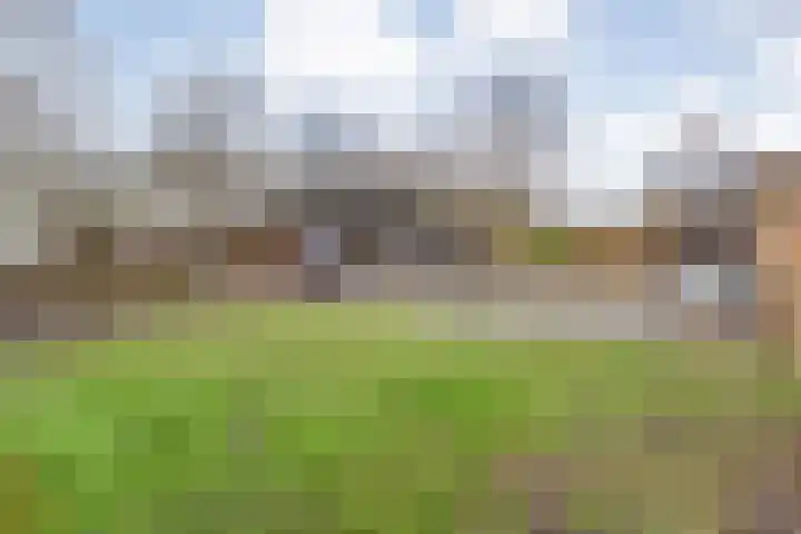Spekopswijk 19 Dedemsvaart thumbnail 48