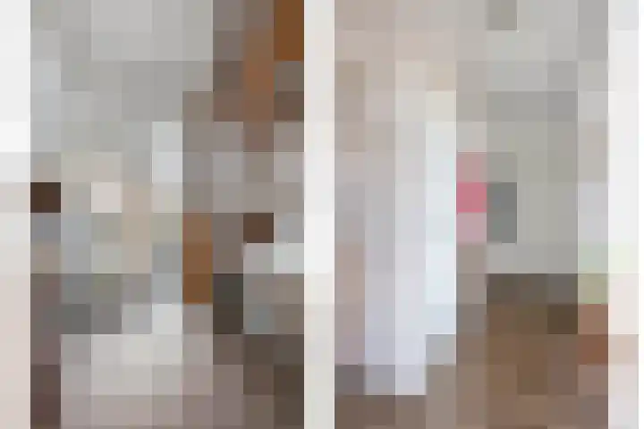 Spekopswijk 19 Dedemsvaart thumbnail 5