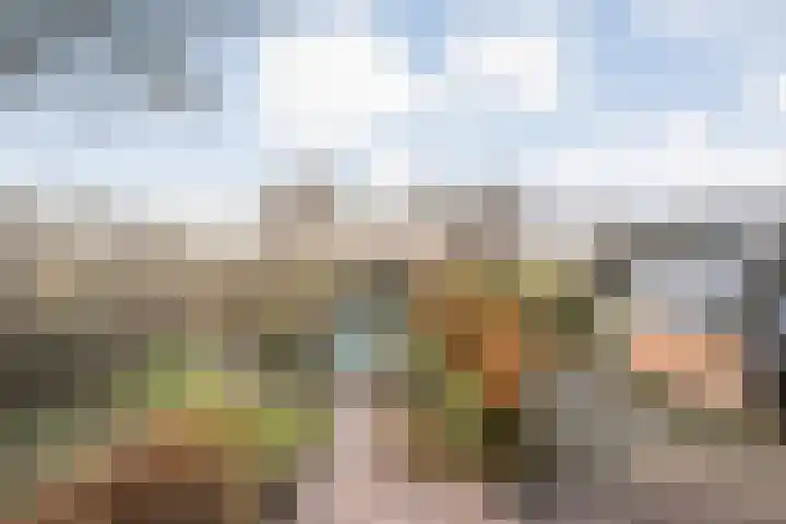 Spekopswijk 19 Dedemsvaart thumbnail 57