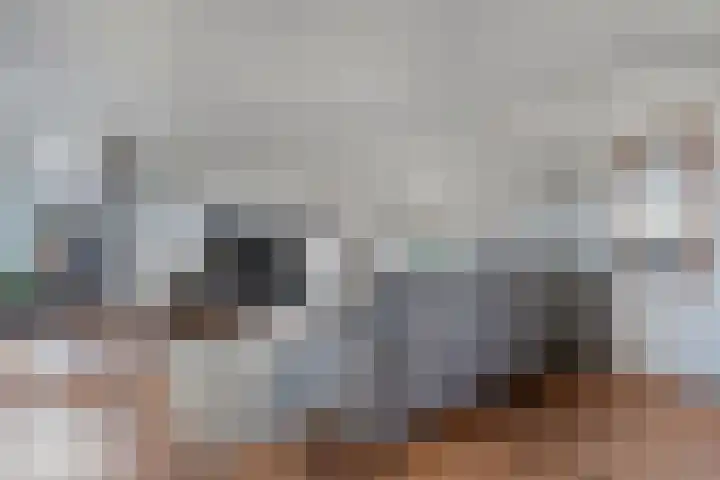 Spekopswijk 19 Dedemsvaart thumbnail 6