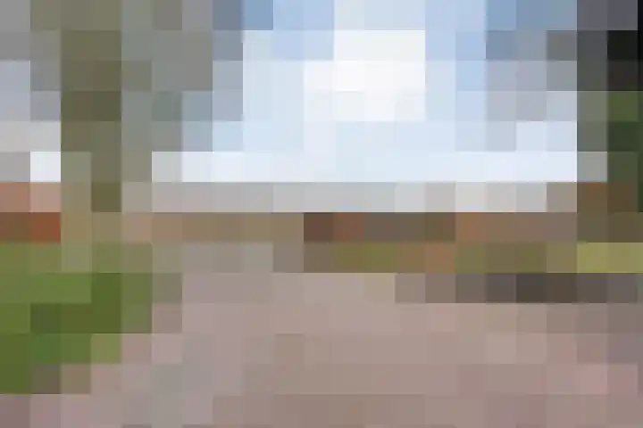 Spekopswijk 19 Dedemsvaart thumbnail 60