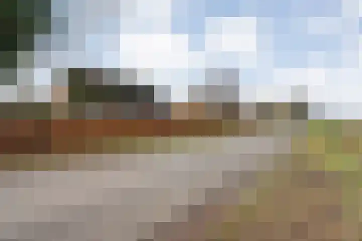 Spekopswijk 19 Dedemsvaart thumbnail 64