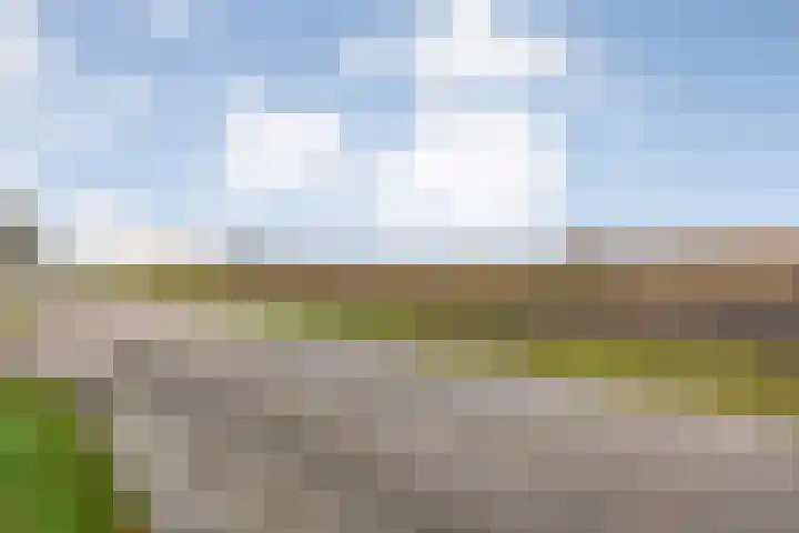 Spekopswijk 19 Dedemsvaart thumbnail 65