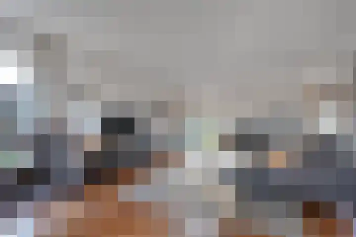Spekopswijk 19 Dedemsvaart thumbnail 8