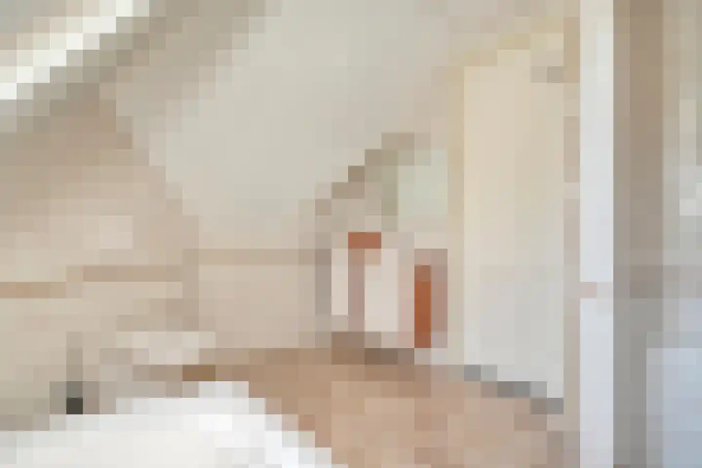 Spekopswijk 27 Dedemsvaart thumbnail 33