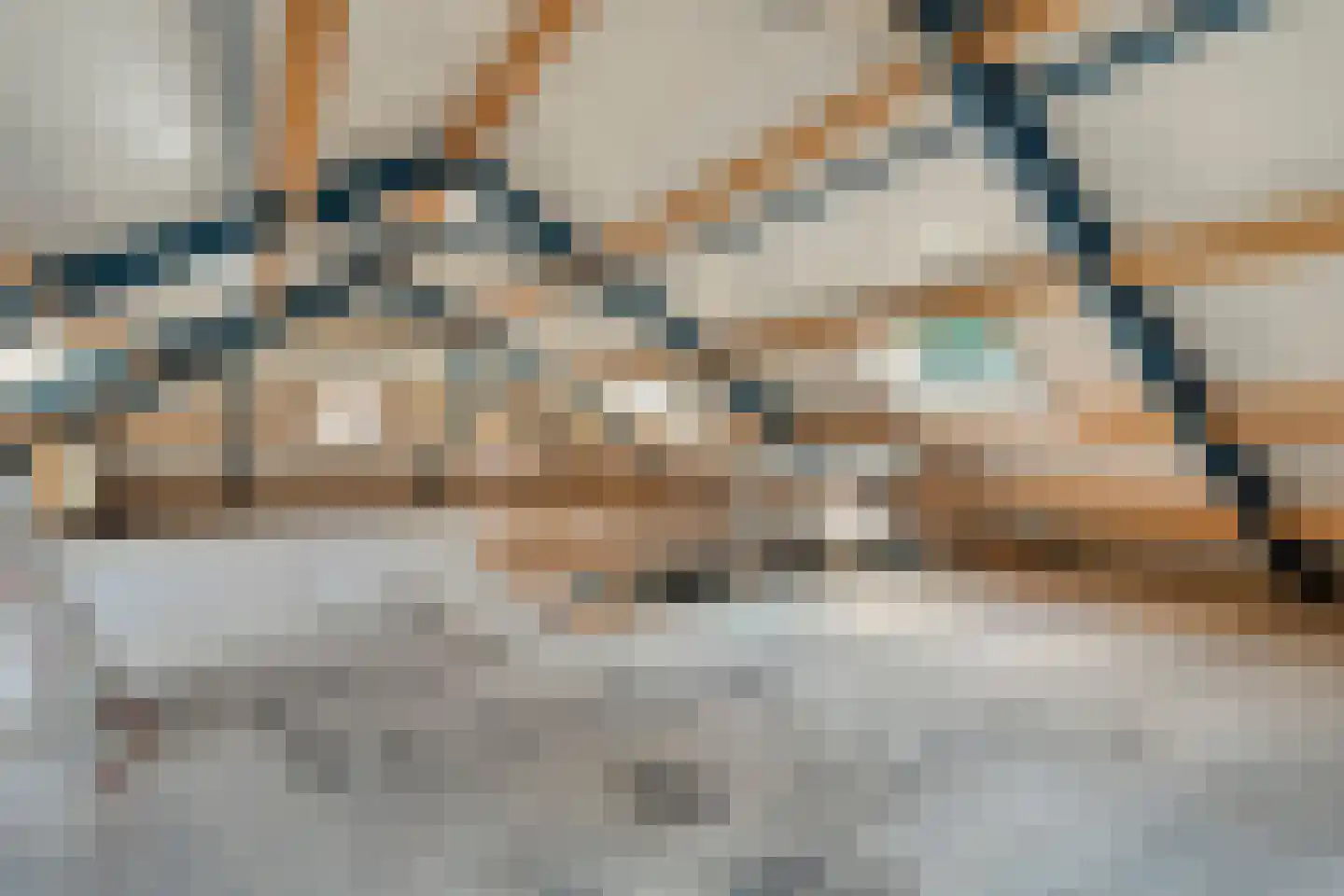 Spekopswijk 27 Dedemsvaart thumbnail 43