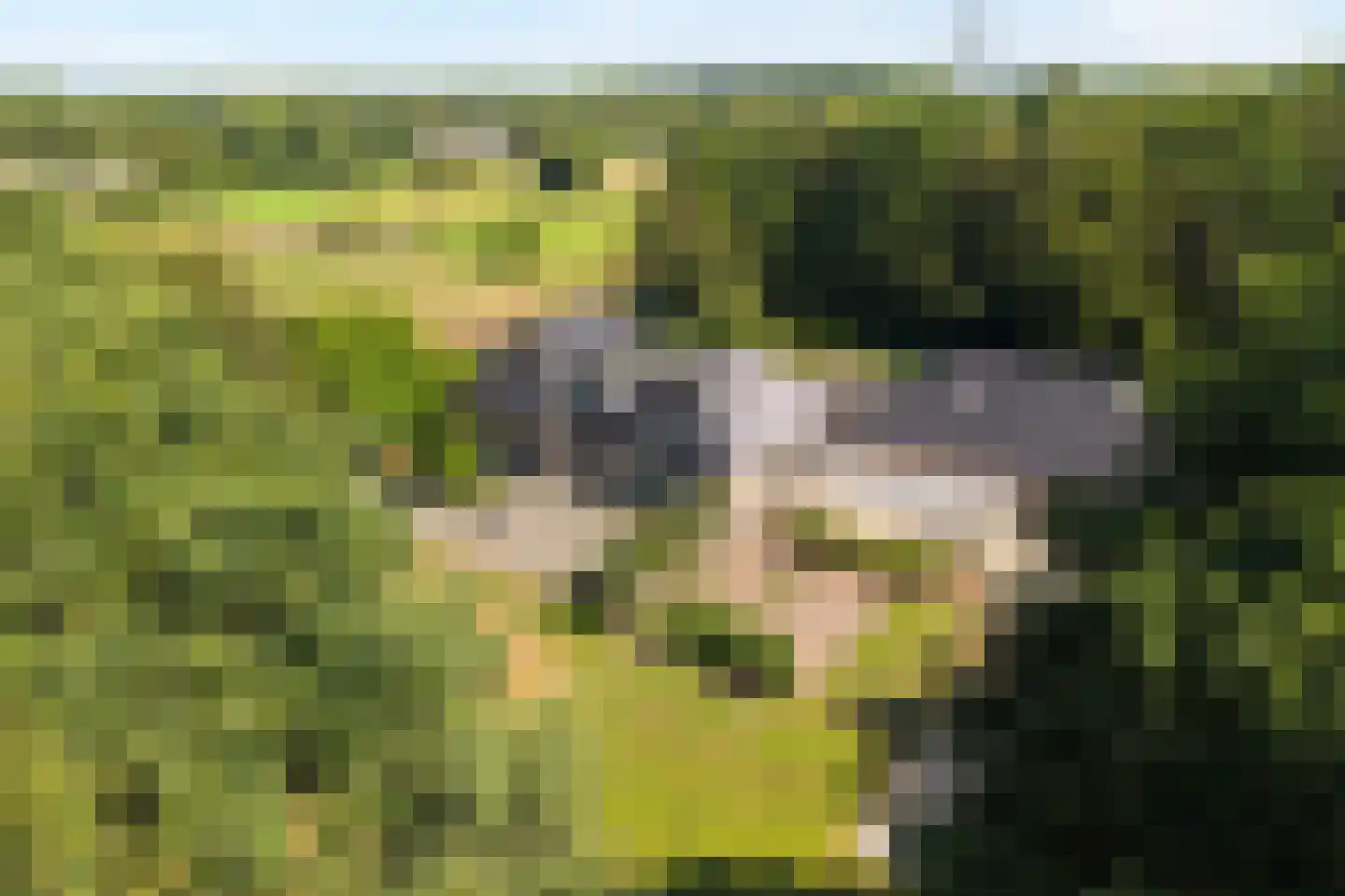 Spekopswijk 27 Dedemsvaart thumbnail 47