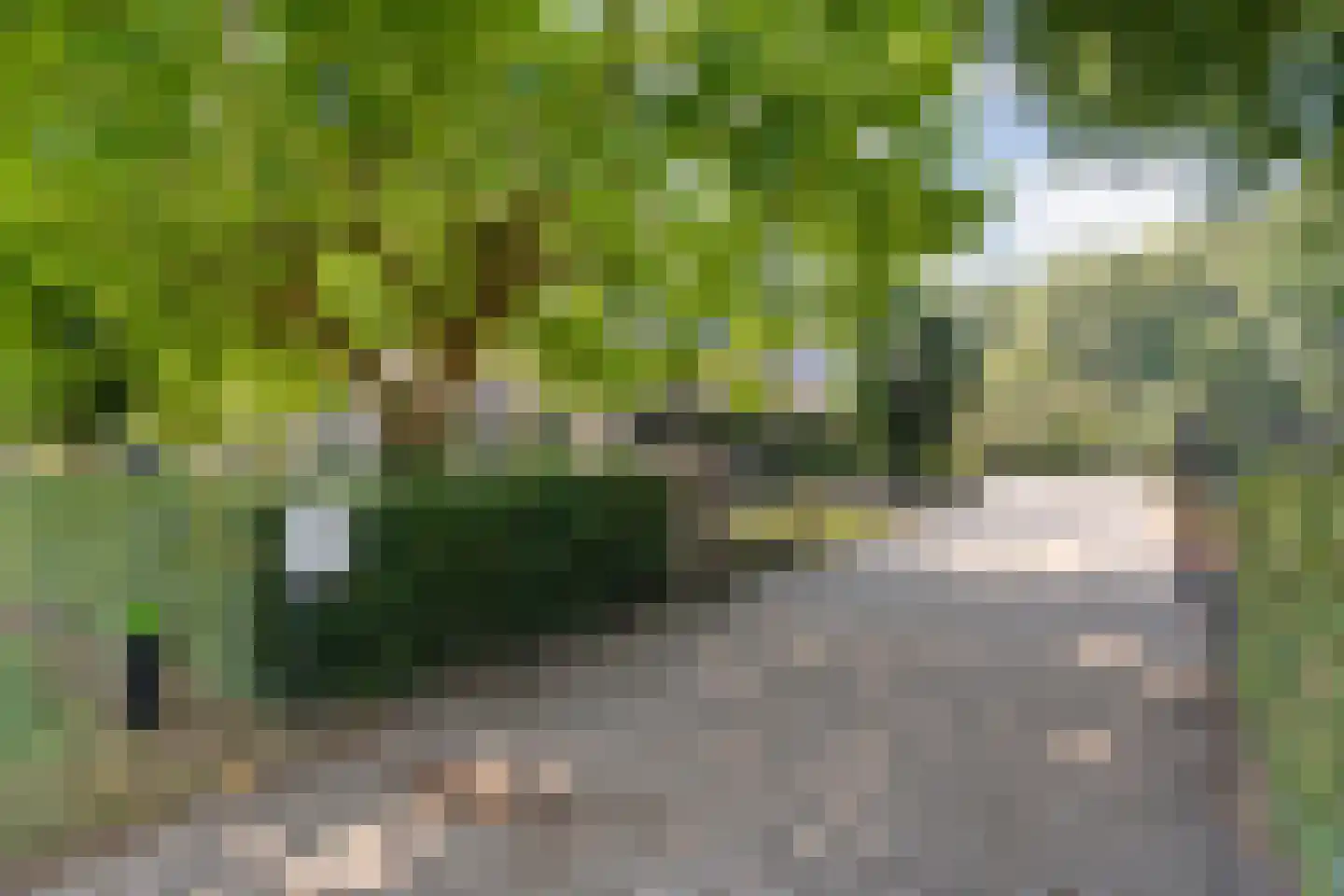Spekopswijk 27 Dedemsvaart thumbnail 48