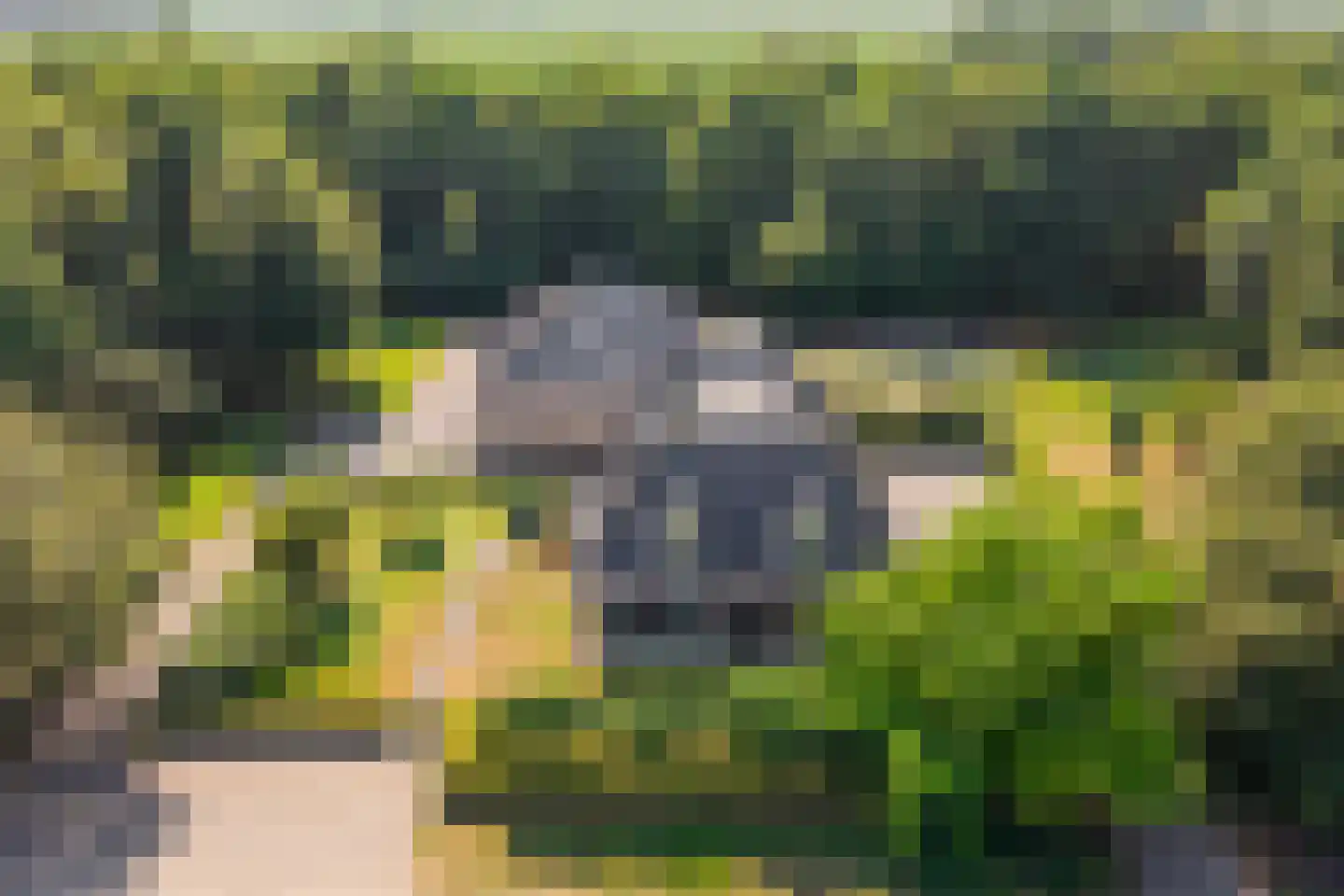 Spekopswijk 27 Dedemsvaart thumbnail 5