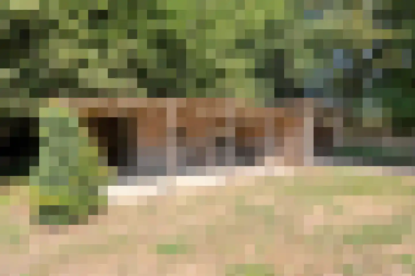 Spekopswijk 27 Dedemsvaart thumbnail 53
